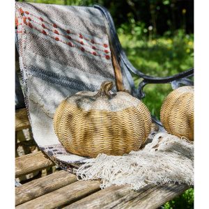 PEPO ΔΙΑΚΟΣΜΗΤΙΚΗ ΚΟΛΟΚΥΘΑ 23x23x16cm POLYRESIN ΦΥΣΙΚΟ