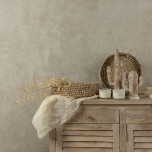 ARIANE 1 ΔΙΑΚΟΣΜΗΤΙΚΟ ΚΑΚΤΟΣ 19x6x23cm POLYRESIN ΦΥΣΙΚΟ ΛΕΥΚΟ