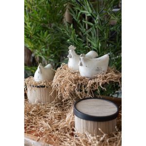 GALINHA ΔΙΑΚΟΣΜΗΤΙΚΟ ΚΟΚΚΟΡΑΣ 23x12x18cm POLYRESIN ΜΠΕΖ