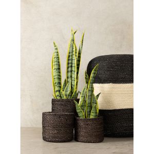 DEL MAR ΚΑΣΠΩ SET 3ΤΜΧ 20x20x18cm SEAGRASS ΜΑΥΡΟ