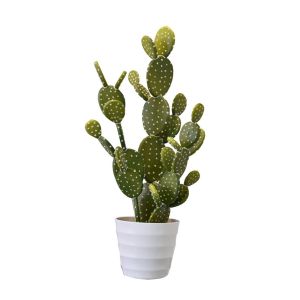 REBUTIA ΦΥΤΟ ΤΕΧΝΗΤΟ ΣΕ ΓΛΑΣΤΡΑ 67cm PVC ΠΡΑΣΙΝΟ ΛΕΥΚΟ ΤΣΙΜΕΝΤΟ