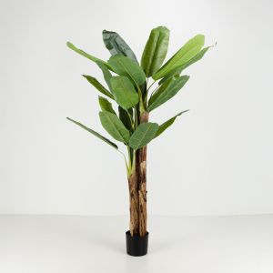 BANANA ΔΕΝΤΡΟ ΤΕΧΝΗΤΟ ΣΕ ΓΛΑΣΤΡΑ 200cm PVC ΠΡΑΣΙΝΟ ΜΑΥΡΟ ΤΣΙΜΕΝΤΟ