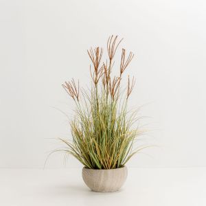 DRAGON BEARD ΦΥΤΟ ΤΕΧΝΗΤΟ 90cm PVC ΠΡΑΣΙΝΟ ΚΑΦΕ