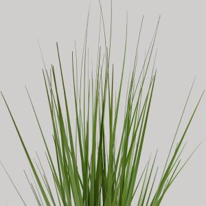 PURE GRASS ΦΥΤΟ ΤΕΧΝΗΤΟ ΣΕ ΓΛΑΣΤΡΑ 68cm PVC ΠΡΑΣΙΝΟ