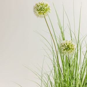 GRASS FLOWER ΦΥΤΟ ΤΕΧΝΗΤΟ ΣΕ ΓΛΑΣΤΡΑ 58cm PVC ΠΡΑΣΙΝΟ