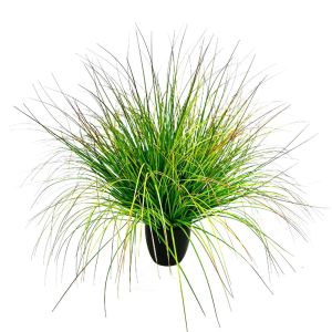 BENT GRASS ΦΥΤΟ ΤΕΧΝΗΤΟ ΣΕ ΓΛΑΣΤΡΑ 90cm PVC ΠΡΑΣΙΝΟ