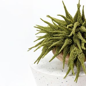 AROMA WISHPER ΛΟΥΛΟΥΔΙ ΤΕΧΝΗΤΟ 30cm FOAM ΠΡΑΣΙΝΟ PVC