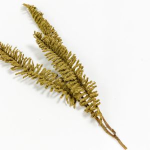 AROMA WISHPER ΚΛΑΔΙ ΤΕΧΝΗΤΟ 80cm FOAM ΠΡΑΣΙΝΟ PVC