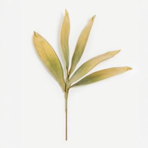 WILDFLOWERS ΚΛΑΔΙ ΤΕΧΝΗΤΟ 65cm FOAM ΠΡΑΣΙΝΟ