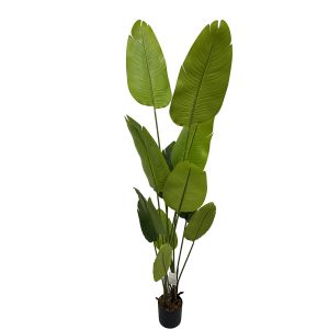 BANANA ΔΕΝΤΡΟ ΤΕΧΝΗΤΟ ΣΕ ΓΛΑΣΤΡΑ 200cm PEVA ΠΡΑΣΙΝΟ