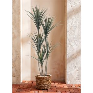 YUCCA ΔΕΝΤΡΟ ΤΕΧΝΗΤΟ ΣΕ ΓΛΑΣΤΡΑ 150cm PE ΠΡΑΣΙΝΟ