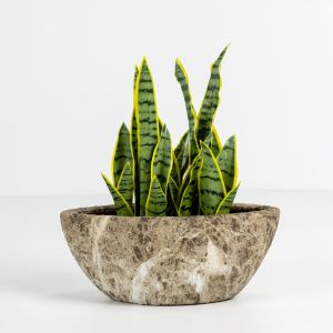 NANGA ΚΑΣΠΩ ΣΕΤ 2ΤΜΧ 46x22x20cm ΚΕΡΑΜΙΚΟ ΜΠΕΖ ΚΑΦΕ