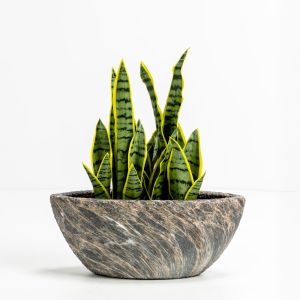 GASHER ΚΑΣΠΩ ΣΕΤ 2ΤΜΧ 46x22x20cm ΚΕΡΑΜΙΚΟ ΑΝΘΡΑΚΙ ΜΠΕΖ