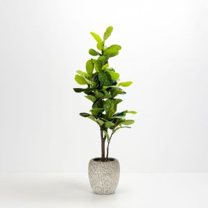 KANCHE ΓΛΑΣΤΡΑ ΣΕΤ 2ΤΜΧ 48x48x39cm ΚΕΡΑΜΙΚΟ ΜΠΕΖ ΜΑΥΡΟ