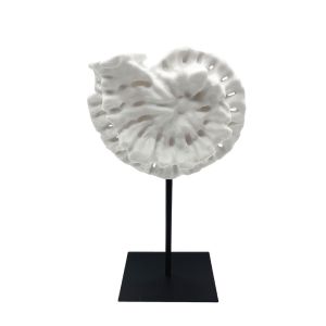 SHELL ΔΙΑΚΟΣΜΗΤΙΚΟ ΚΟΧΥΛΙ 20x11x36cm POLYRESIN ΑΣΠΡΟ ΜΑΥΡΟ ΜΕΤΑΛΛΟ