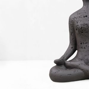 MORPH I ΔΙΑΚΟΣΜΗΤΙΚΟ ΣΩΜΑ 13x7.5x17.5cm RESIN ΚΑΦΕ ΣΚΟΥΡΟ