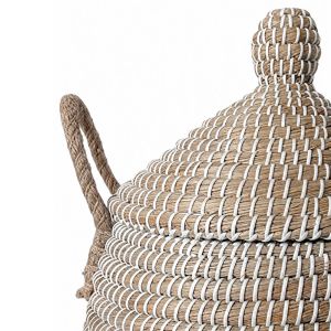 KAVI ΚΑΛΑΘΙ ΜΕ ΚΑΠΑΚΙ 30x30x54cm KANSGRASS ΦΥΣΙΚΟ ΛΕΥΚΟ ΠΛΑΣΤΙΚΟ