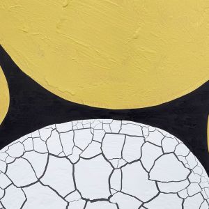 SIRKEL ΠΙΝΑΚΑΣ ΔΙΑΚΟΣΜΗΤΙΚΟΣ ΜΕ ΚΟΡΝΙΖΑ 80x120x4cm ΚΑΜΒΑΣ LEMON ΓΚΡΙ PS ΜΑΥΡΟ