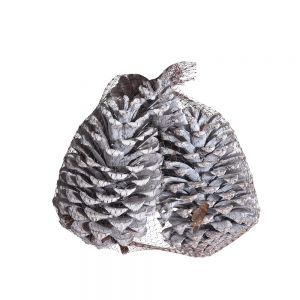 XMAS PINECONE ΚΟΥΚΟΥΝΑΡΙΑ ΦΥΣΙΚΟ 14cm