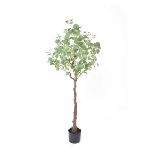 SILVER DOLLAR EUCALYPTUS ΔΕΝΤΡΟ ΤΕΧΝΗΤΟ ΣΕ ΓΛΑΣΤΡΑ PE ΜΕΤΑΞΩΤΟ ΥΦΑΣΜΑ ΠΡΑΣΙΝΟ H150cm