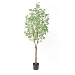 SILVER DOLLAR EUCALYPTUS ΔΕΝΤΡΟ ΤΕΧΝΗΤΟ ΣΕ ΓΛΑΣΤΡΑ PE ΜΕΤΑΞΩΤΟ ΥΦΑΣΜΑ ΠΡΑΣΙΝΟ H180cm