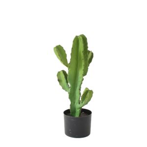 CANDELABRA CACTUS ΦΥΤΟ ΤΕΧΝΗΤΟ ΣΕ ΓΛΑΣΤΡΑ PU ΠΡΑΣΙΝΟ H55cm