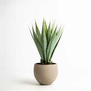 AGAVE ΦΥΤΟ ΤΕΧΝΗΤΟ ΣΕ ΓΛΑΣΤΡΑ 58 PVC ΠΡΑΣΙΝΟ ΜΑΥΡΟ ΤΣΙΜΕΝΤΟ