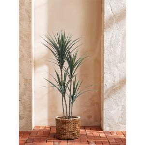 YUCCA ΔΕΝΤΡΟ ΤΕΧΝΗΤΟ ΣΕ ΓΛΑΣΤΡΑ 130 PE ΠΡΑΣΙΝΟ